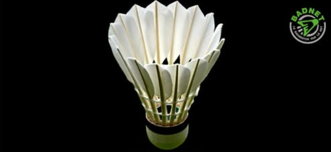 Tournoi de mixte 15 mars